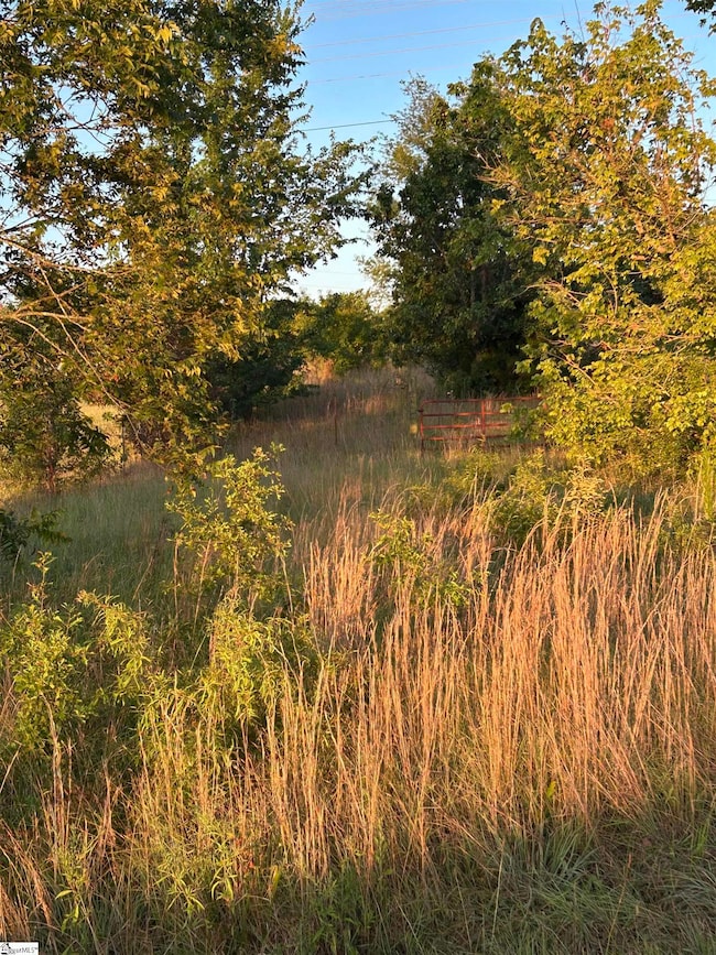 7631 Highway 11 Hwy, Campobello, SC 29322 - photo 5