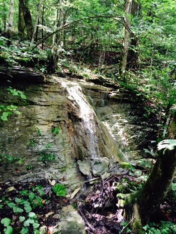 4701 Poplarville Rd, Somerset, KY 42501 - photo 6