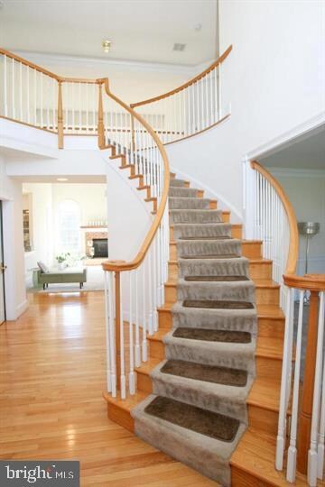 127 Trotter Dr W, Wilmington, DE 19810 - photo 3