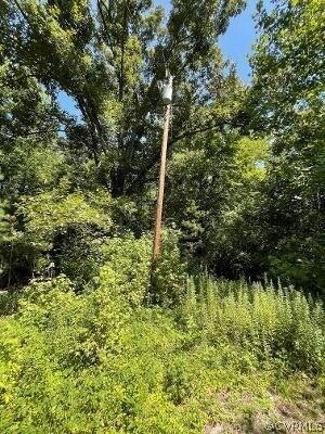 Land 4.54 Acres in Urbanna (1/2 mile from URBANNA