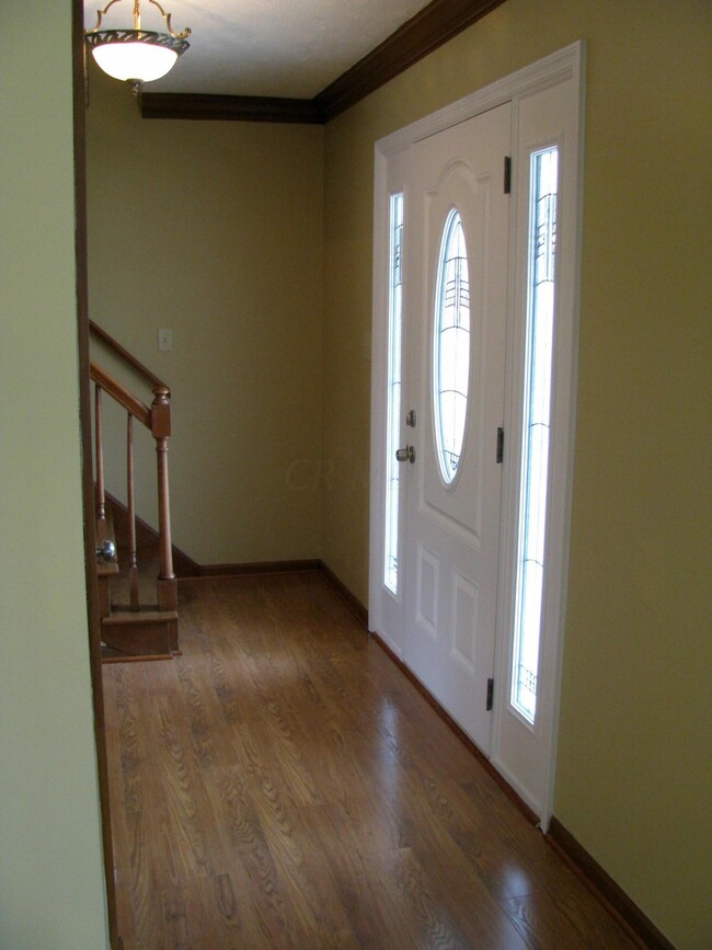 Honeytree foyer with crown molding