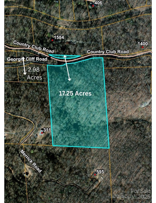 9999 Country Club Rd, Tryon, NC 28782 - photo 3