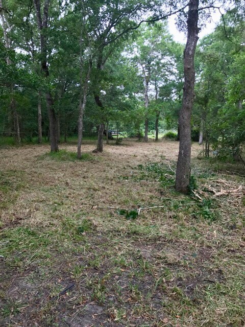 6313 Tercero, Brazoria, TX 77422 - photo 5