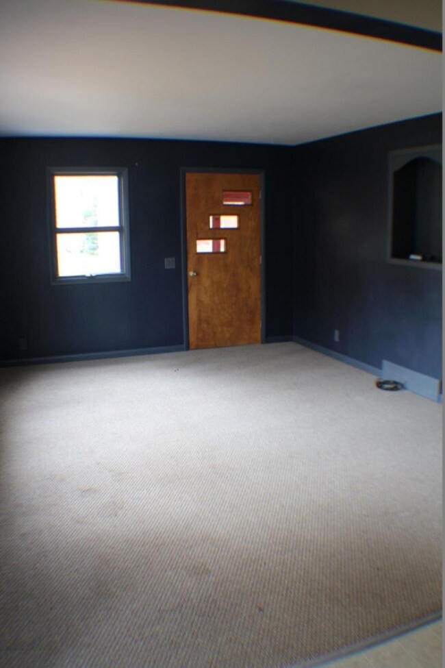 121 W Maple St, Fremont, MI 49412 - photo 4