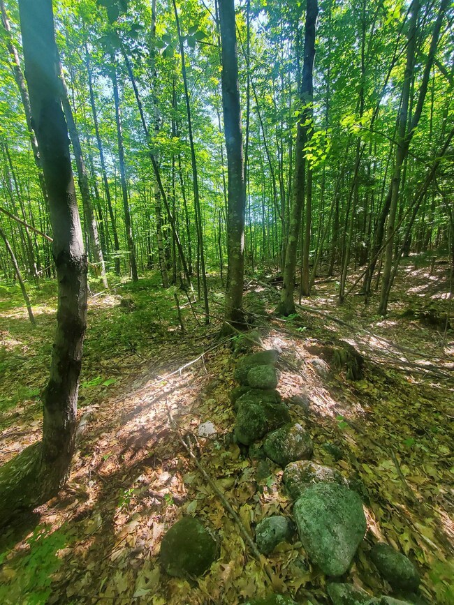 0 Craney Hill Rd, Henniker, NH 03242 - photo 4