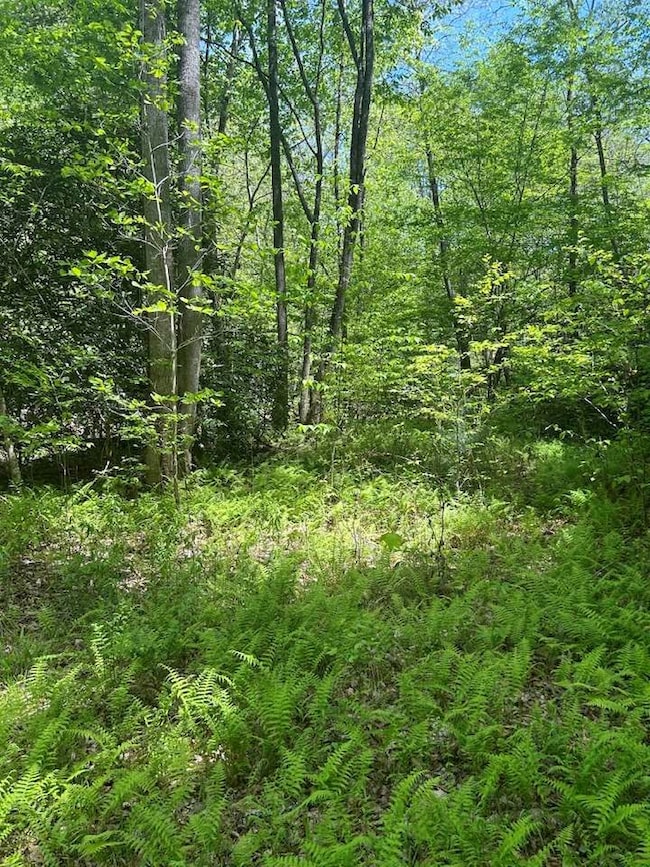 Next to Creek