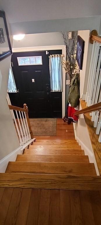 17 Renfrew St, Worcester, MA 01604 - photo 4