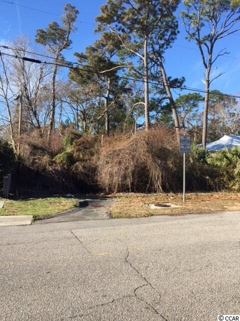 TBD 30th Ave N, Myrtle Beach, SC 29577 - photo 2