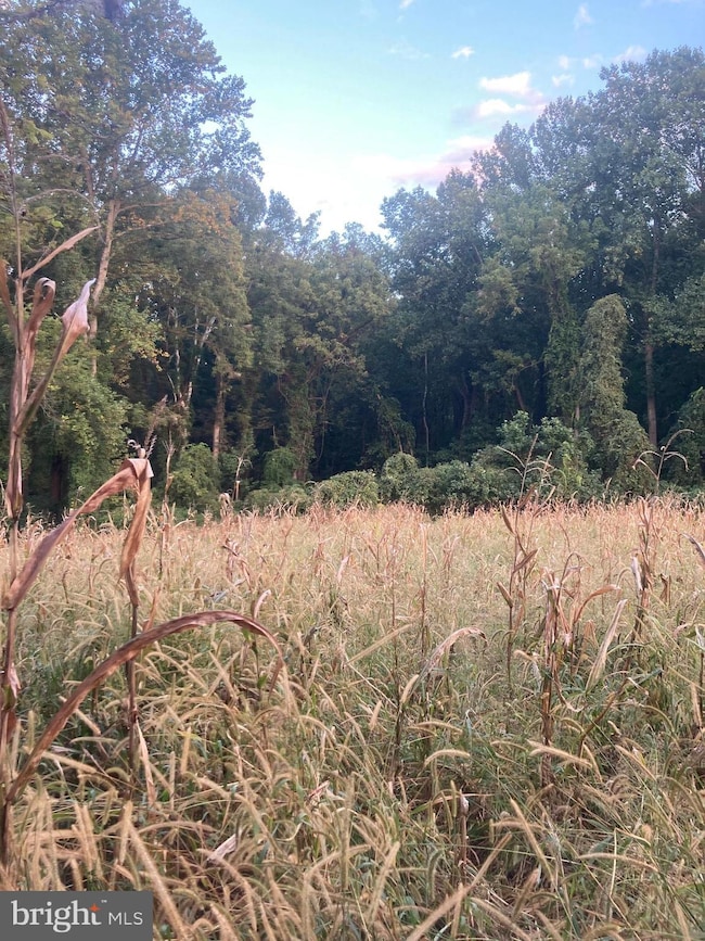 0 Dover Rd unit MDBC2012792, Glyndon, MD 21071 - photo 6