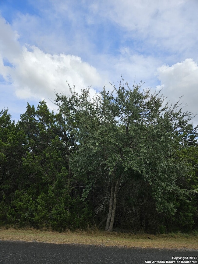 27044 Okent Dr, San Antonio, TX 78260 - photo 2