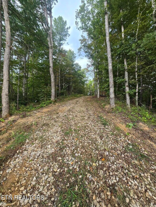 0 River Rd unit 1315659, Huntsville, TN 37756 - photo 6