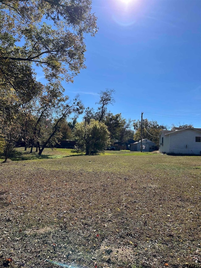 TBD Keith St, Mount Vernon, TX 75457 - photo 3