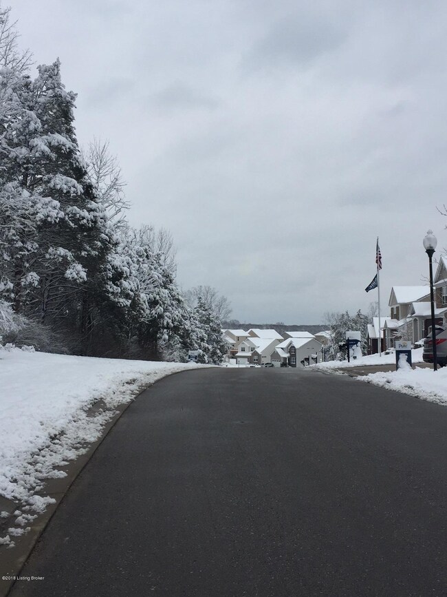 Conservation Community in the Snow