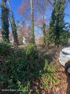 0 Seely Ln, Staten Island, NY 10308 - photo 4
