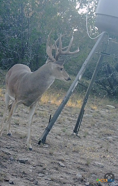 0 County Road 2773, Lometa, TX 76853 - photo 3