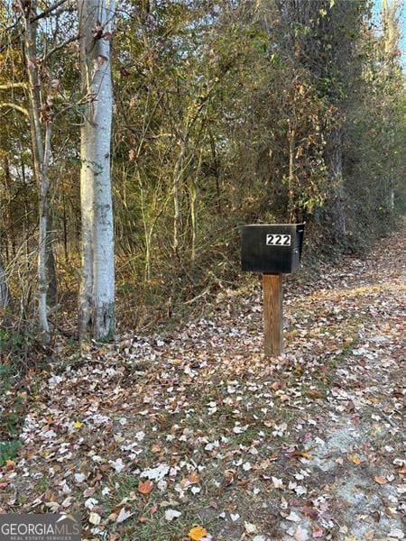 222 Norman Rd, Athens, GA 30607 - photo 4