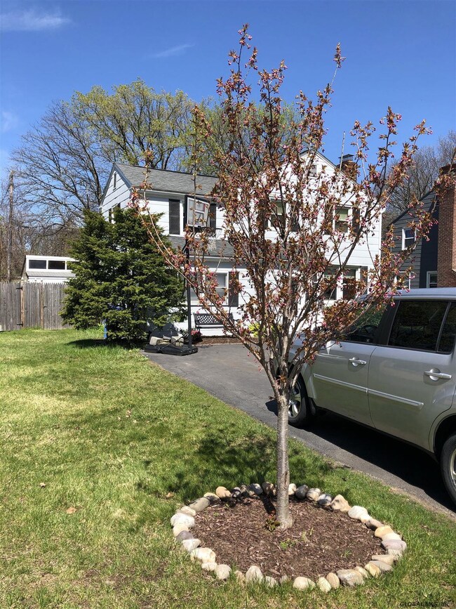 10 Jermain St, Albany, NY 12206 - photo 3