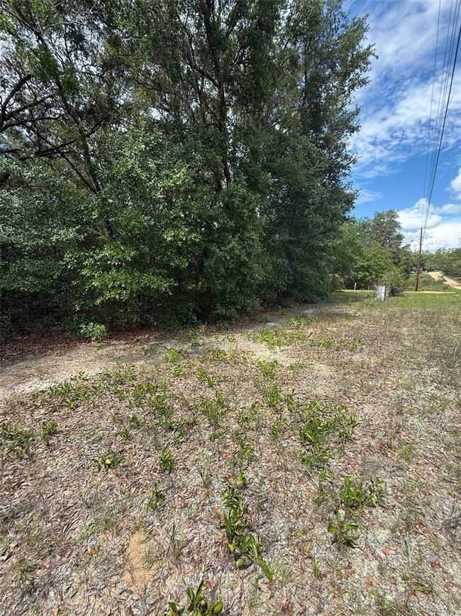 LOT 132 Duncan Ave, Interlachen, FL 32148 - photo 5