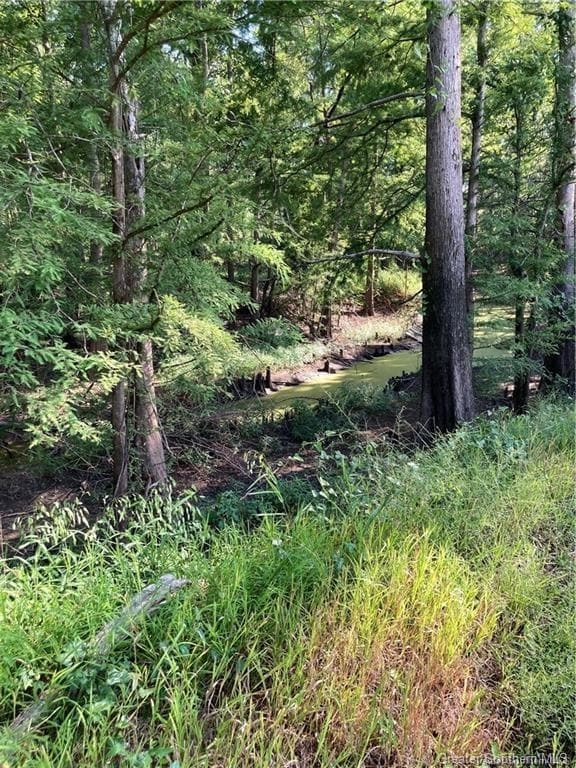 0 Royer Loop, Sulphur, LA - photo 4