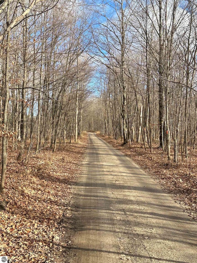 TBD Blackberry Ln, Star Township, MI 49730 - photo 5