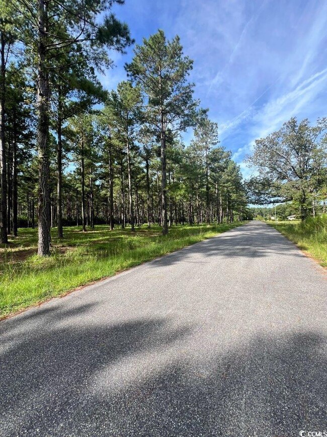 TBD Ashley Cir unit Lot 5, Conway, SC 29526 - photo 5