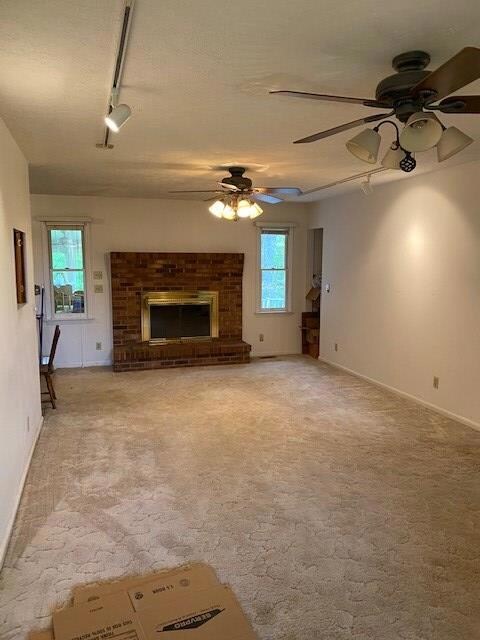 Living Room Fireplace