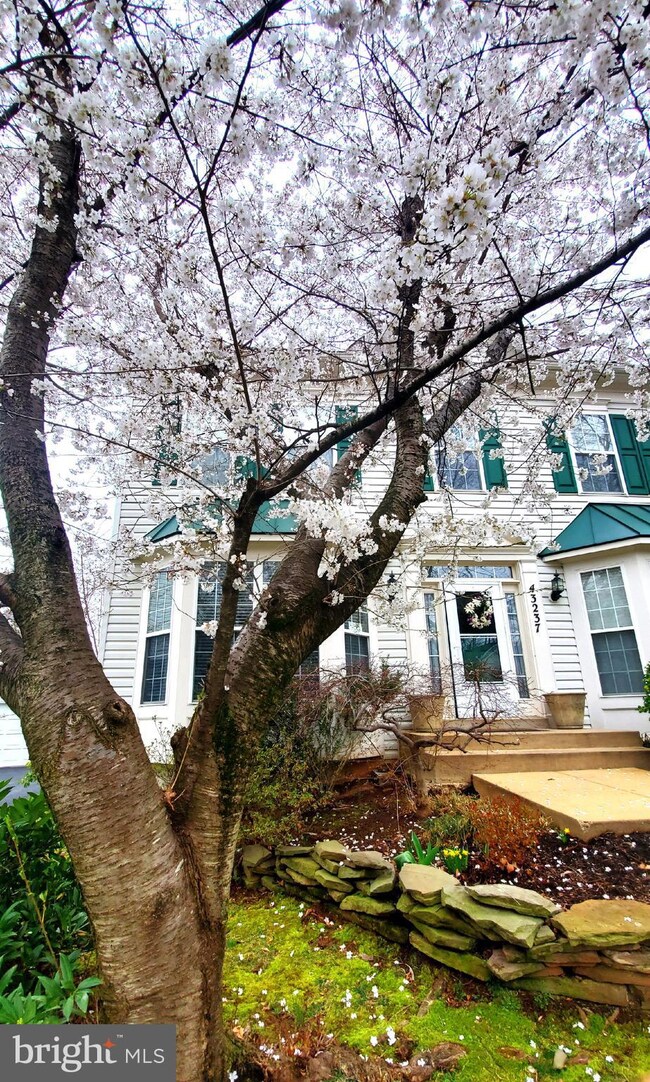 43237 Edgartown St, Chantilly, VA 20152 - photo 5