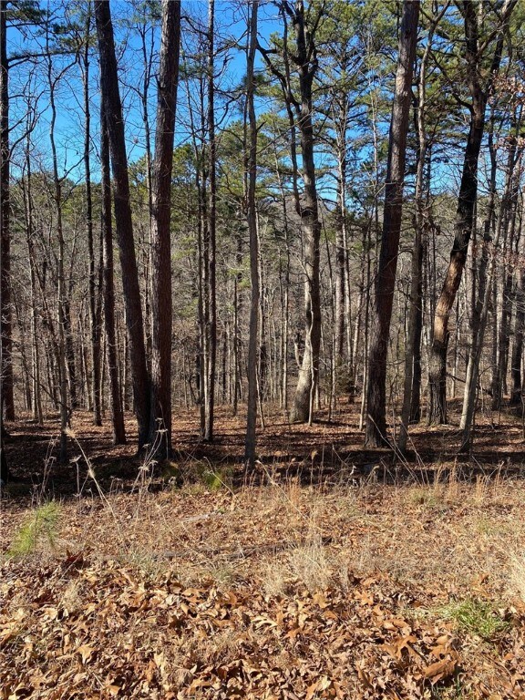 0 Camborne Dr unit 1182063, Bella Vista, AR 72714 - photo 5