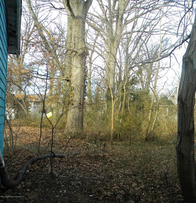 54 Latourette More Dead Trees and vege