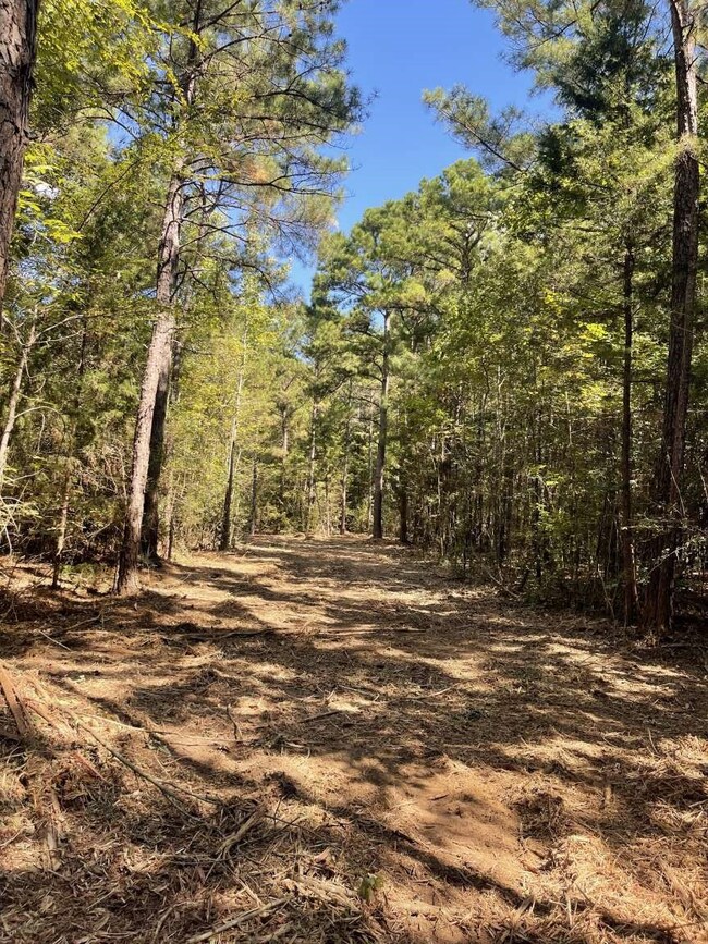 167 County Road 3141, Jacksonville, TX 75766 - photo 5