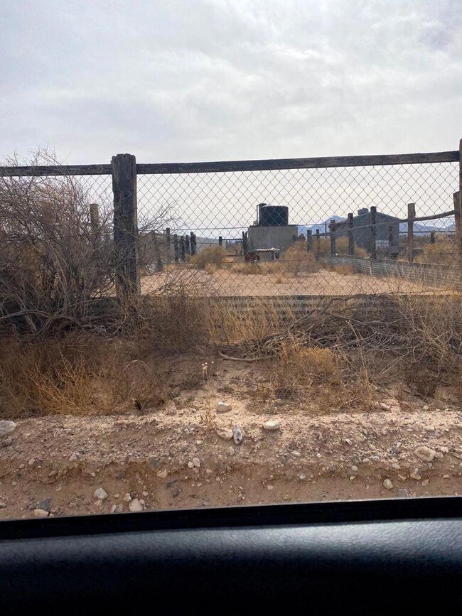 Everything Las Cruces, NM - Biggest Tumbleweed EVER??!? This picture was  taken off Valley Drive heading North towards Radium Springs.