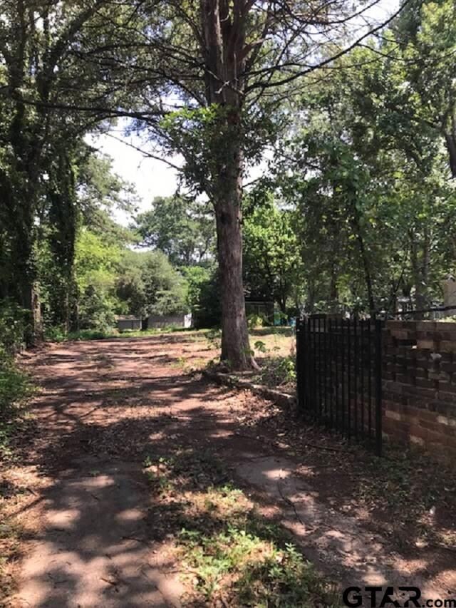 520 Troup Hwy, Tyler, TX 75701 - photo 4