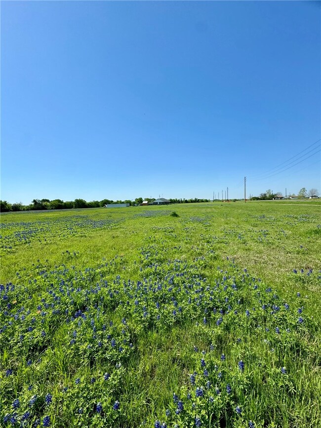 5.01 Acres Farm To Market 308, Penelope, TX 76676 - photo 5
