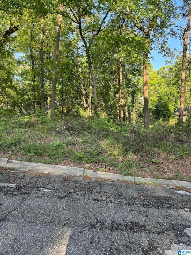 5113 Biddle Cir, Mount Olive, AL 35117 - photo 2