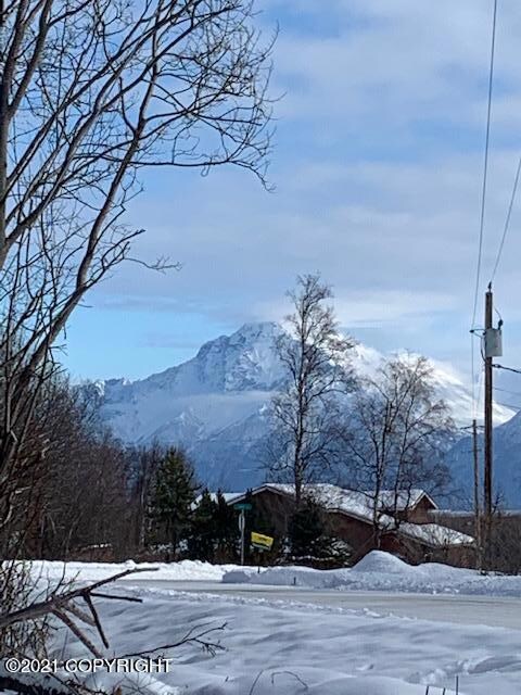 Chugach Mountain View
