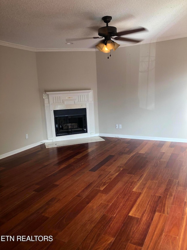 Living Room Fireplace