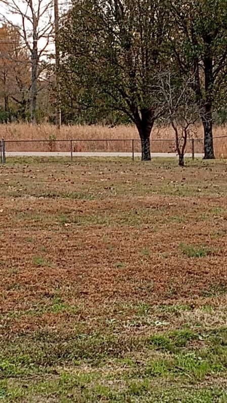 650 Point Mason Rd, Big Sandy, TN 38221 - photo 4