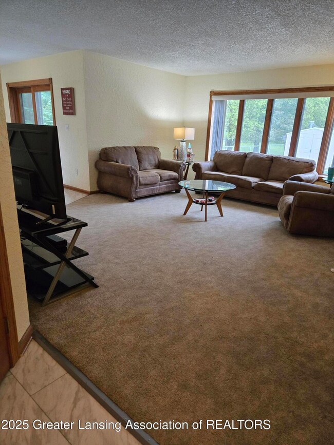 226 E Washington St, Maple Rapids, MI 48853 - photo 5