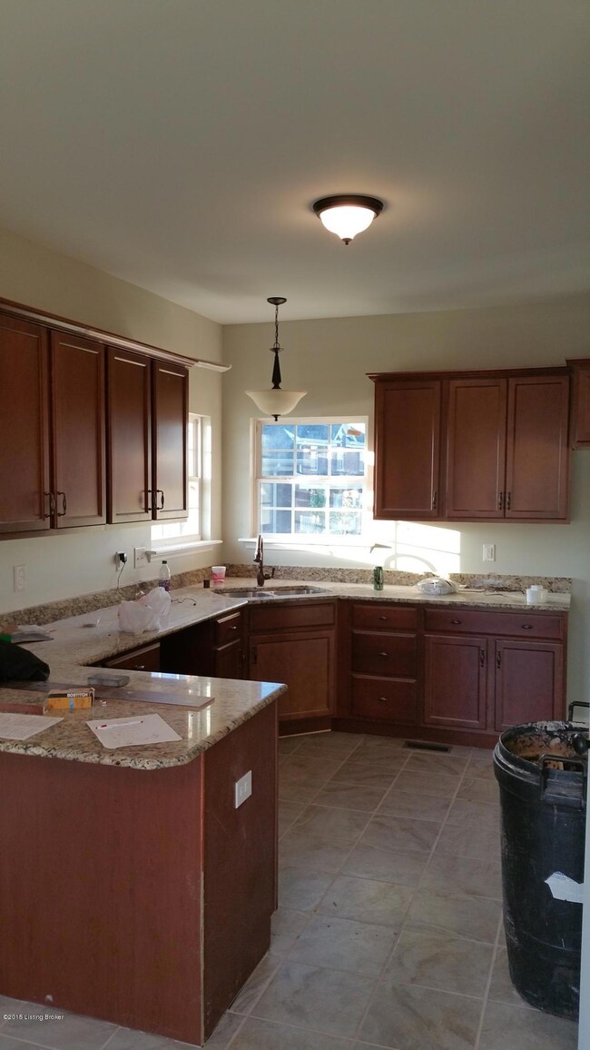 517 Concord Grape Way, Vine Grove, KY 40175 - photo 3