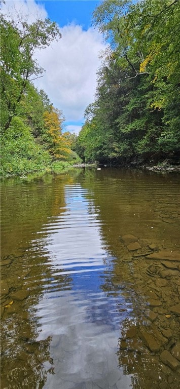 0 Lafayette Rd, Groton, NY 13073 - photo 5