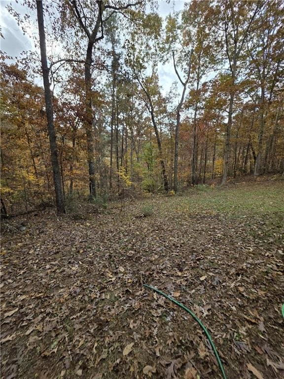 3061 Cypress Cove, Ball Ground, GA 30107 - photo 6