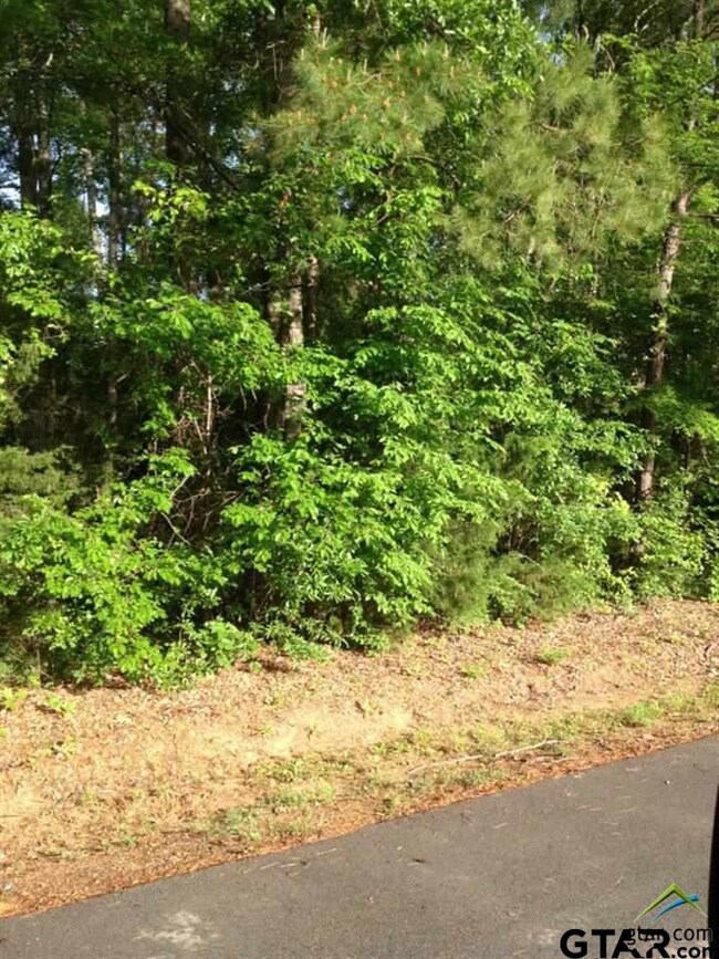 3810 Devon St unit 11 Tara Circle, Weslaco, TX 78599 - photo 2