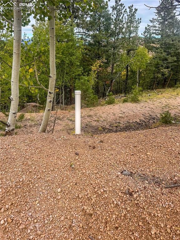 599 Dandy Jim Dr, Cripple Creek, CO 80813 - photo 6