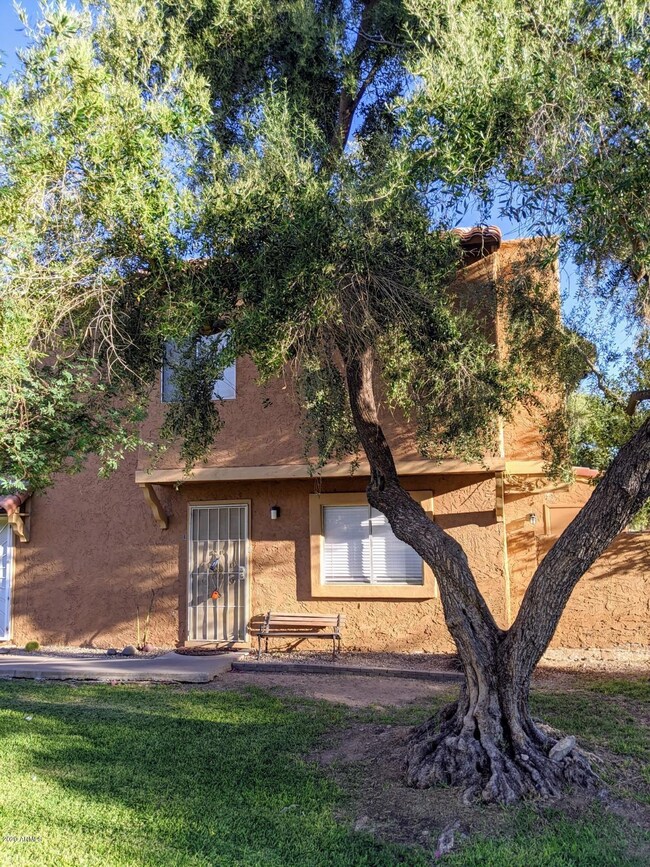 807 E Cochise Dr unit B, Phoenix, AZ 85020 - photo 2