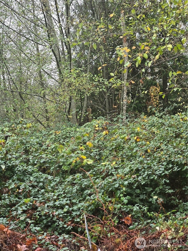 4 SE Sinclair View Dr, Port Orchard, WA 98366 - photo 4