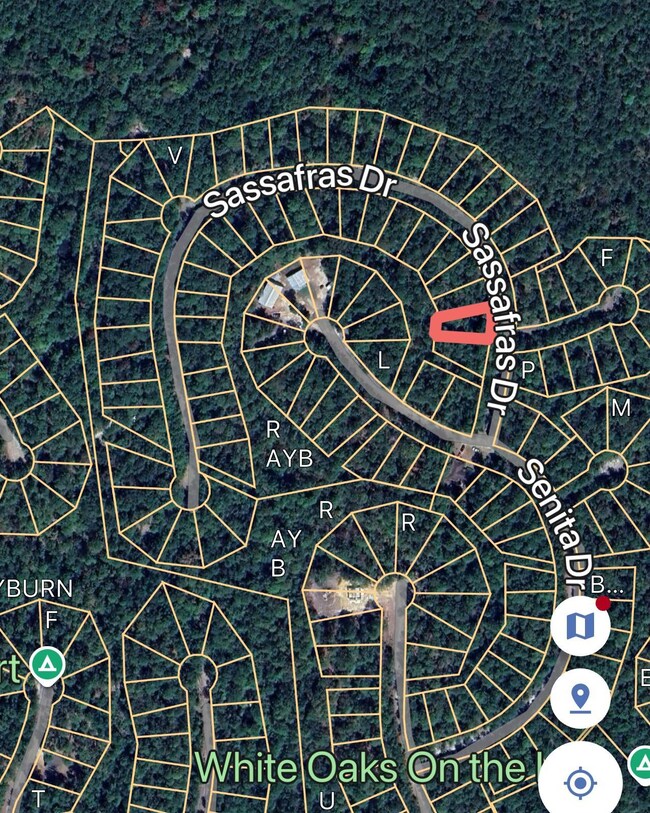 171 Sassafras unit Lot 171, Brookeland, TX 75931 - photo 7