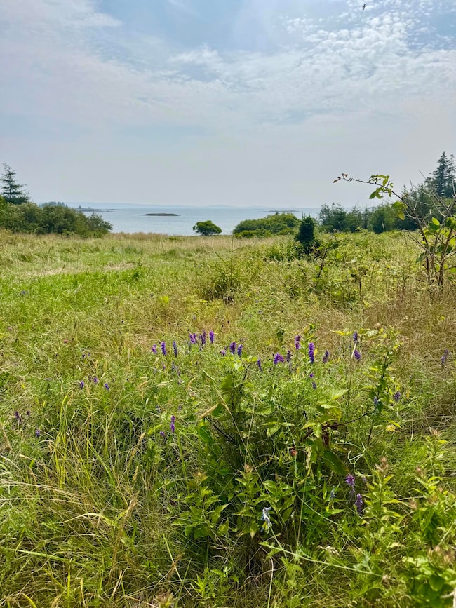 Lot #5 George Wright Rd, Vinalhaven, ME 04863 - photo 2