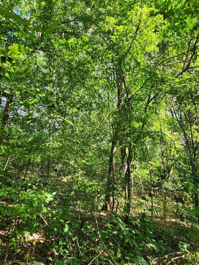 0 Old State Highway 28, Dunlap, TN 37327 - photo 3