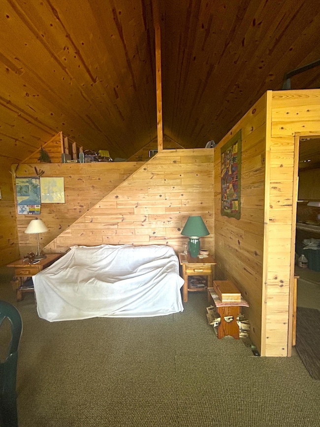 16779 Angle Shoreline, Angle Inlet, MN 56711 - photo 3