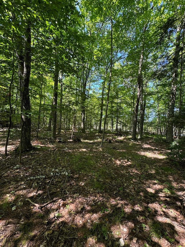 #5 Eagle Ledge Ln, Fish Creek, WI 54212 - photo 3